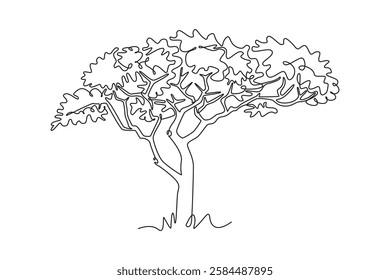 Single one line drawing of exotic and beauty marula tree. Decorative sclerocarya birrea for greeting post card. World tourism and travel. Modern continuous line draw design graphic vector illustration