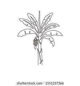 Single One Line Drawing Fertile And Fresh Banana Tree. Decorative Banana Plant For Plantation Company. Agriculture Cultivation Concept. Modern Continuous Line Draw Design Graphic Vector Illustration