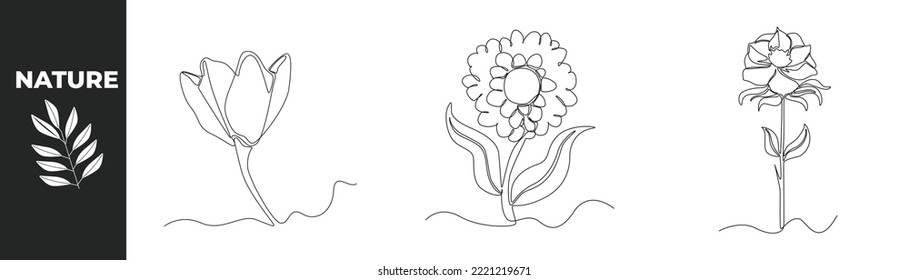 Single one line drawing flower set concept. Beautiful and blooming flowers. Continuous line draw design graphic vector illustration.