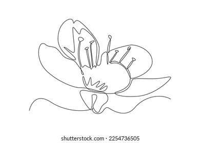 Single one line drawing Flower blossom Sakura. Cherry blossom concept. Continuous line draw design graphic vector illustration.