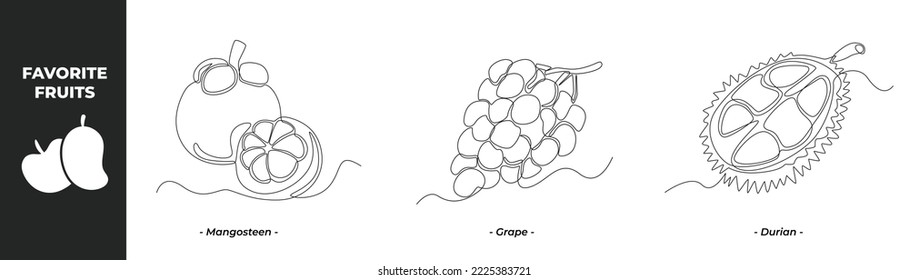 Single one line drawing Fruits set concept. Mangosteen, Grape and Durian. Continuous line draw design graphic vector illustration.