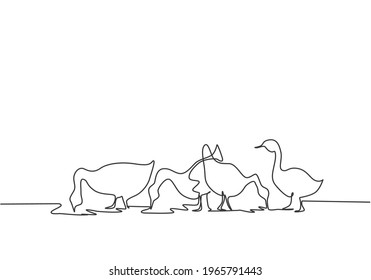 Single one line drawing of the geese are being fed to be healthy and produce the best eggs and meat. Farming challenge minimal concept. Modern continuous line draw design graphic vector illustration.