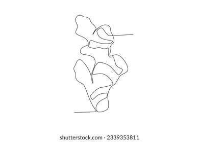 Single one line drawing ginger vegetable concept continuous line draw design graphic vector illustration
