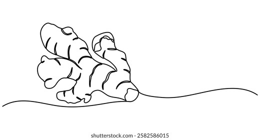 Single one line drawing ginger. Vegetable concept. Continuous line draw design graphic vector illustration, Single one line drawing of healthy organic ginger for harvesting logo identity. Fresh design