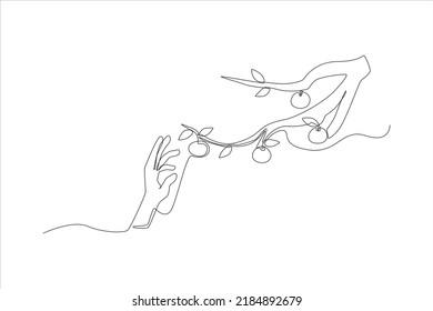 Single one line drawing hand take a ripe persimmon tree for persimmons. Happy chuseok concept. Continuous line draw design graphic vector illustration.