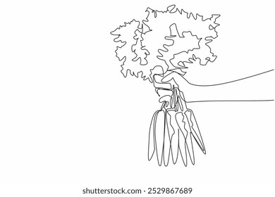 Single one line drawing hand holding several carrots with very thick leaf tips. Carrot farmers get the desired results. Healthy. International Carrot Day. Continuous line design graphic illustration