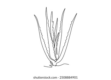 Single one line drawing of healthy organic green aloe vera for farm logo identity. Fresh tropical succulent plant concept for agricultural icon. Continuous line draw design graphic vector illustration