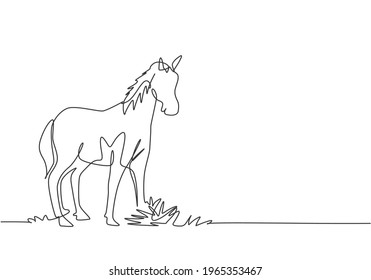 Single one line drawing of a horse standing firmly on the pasture. Successful livestock business run by professional farmers. Minimalism concept. One line draw design graphic vector illustration.