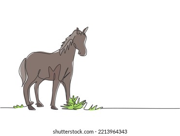 Single one line drawing of a horse standing firmly on the pasture. Successful livestock business run by professional farmers. Minimalism concept. One line draw design graphic vector illustration.