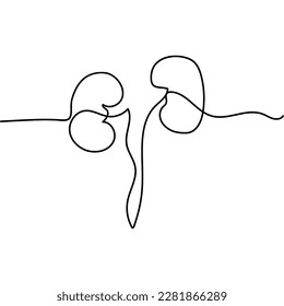 Single one line drawing kidneys anatomy. Human organ illustration. Medical concept.