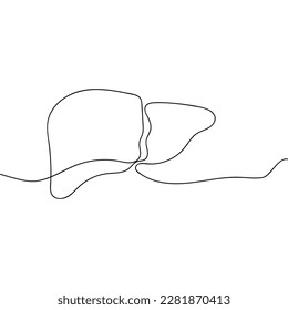Single one line drawing liver anatomy. Human organ vector illustration. Medical concept.