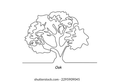 Single one line drawing oak tree. Tree concept. Continuous line draw design graphic vector illustration.