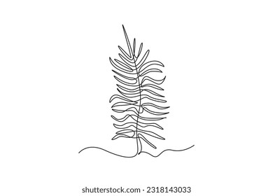 Concepto de plantas de dibujo de una sola línea y hierbas. Ilustración gráfica de vector de diseño de línea continua.