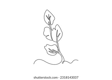 Concepto de plantas de dibujo de una sola línea y hierbas. Ilustración gráfica de vector de diseño de línea continua.
