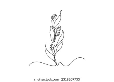 Concepto de plantas de dibujo de una sola línea y hierbas. Ilustración gráfica de vector de diseño de línea continua.