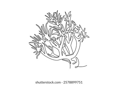 Single one line drawing of quiver tree forest. Decorative kokerboom woud tree for national park logo. Tour and travel vacation concept. Modern continuous line draw design graphic vector illustration