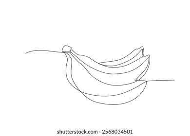 Single one line drawing sliced healthy organic Three Bananas. Fresh tropical fruitage concept for fruit garden icon. Modern continuous line graphic draw design vector illustration
