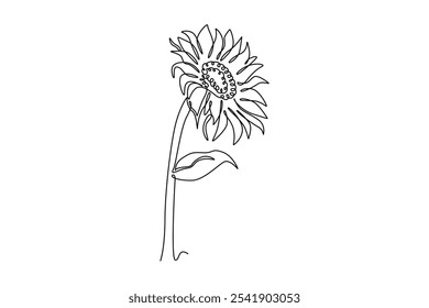 Uma única linha desenhando um caule de girassol. Crescendo forte, fresco e dando alegria por sua cor. As folhas são úteis como curandeiros. Dia de Kansas. Ilustração de vetor gráfico de design de linha contínua