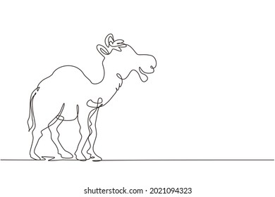 Single one line drawing strong desert Arabic camel for logo. Cute mammal animal concept for livestock husbandry, tourism, transportation. Modern continuous line draw design graphic vector illustration