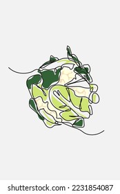 Single one line drawing top view of fresh cauliflower, file editable. Continuous line draw design graphic vector illustration