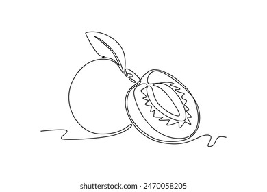 Single one line drawing whole and sliced healthy organic apricot for orchard logo identity. Fresh fruitage concept for fruit garden icon. Modern continuous line draw design graphic vector illustration