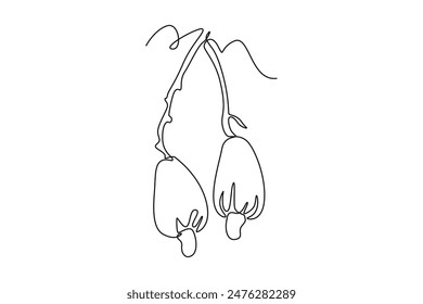 Single one line drawing whole healthy organic cashew apple for orchard logo identity. Fresh tropical fruitage concept for fruit garden. Modern continuous line draw design graphic vector illustration