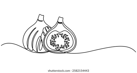 Single one line drawing whole healthy organic figs for orchard logo identity. Fresh exotic summer fruitage concept on white background. Modern continuous line draw design graphic vector illustration.