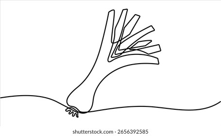 Single one line drawing whole healthy freshness organic leek for plantation logo identity. One line drawing art illustration with lettering organic leeks Fresh ingredient concept for vegetable icon.