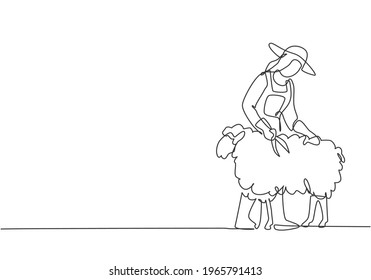 Single one line drawing of young female farmer was carefully shearing the fleece using scissors. Farming challenge minimal concept. Modern continuous line draw design graphic vector illustration.