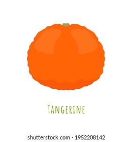 Single one tangerine fruit isolated on white