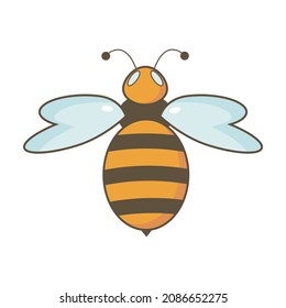 Una sola abeja naranja de fondo blanco 