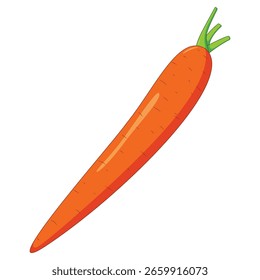 Single orange carrot vector illustration. Fresh root vegetable icon isolated on white background