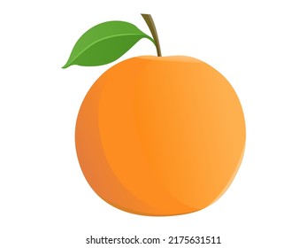 Single orange fruit with leaf vector illustration 