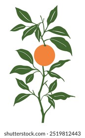 A single orange hangs from a branch with green leaves.