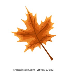 Hoja de arce de color naranja en colores otoñales. Vector dibujado a mano ilustración para la decoración de otoño, diseño de embalaje, impresión de temporada, Halloween o tarjeta de Acción de Gracias, etiqueta engomada