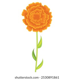 Uma flor de calêndula laranja no tronco verde, Vetor