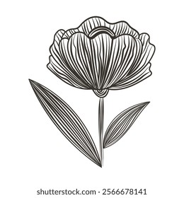 Single outline flower illustration. Element for delicate design, logo, stationery, or minimalist art prints