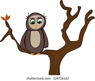 A single owl is sitting on a branch in a tree with a few fall colored leaves.