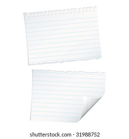 Single page of paper with spiral ring holes and rip down the middle