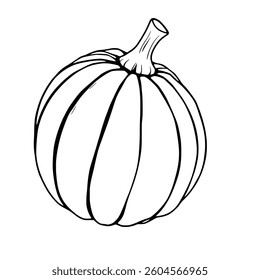 Single Pale Green Pumpkin Illustration Autumn Harvest