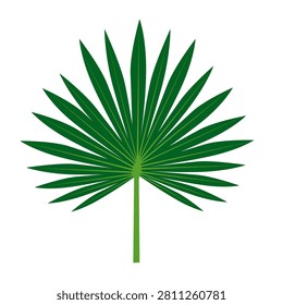 Single palm frond, vibrant green, isolated on white background. Stylized illustration, clean lines, simple shape. Fanned leaf pattern, radiating from central stem. Ideal for nature, tropical
