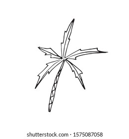 Single palm tree in doodle style. Hand drawn vector illustration for greeting cards, posters, stickers and seasonal design.