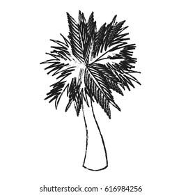 single palm tree icon image 