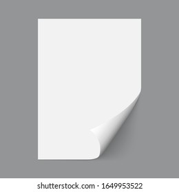 Single pape. Vector white realistic paper page with curled corner. Vector illustration