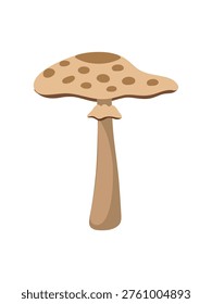 single parasol mushroom realistic vector illustration minimal style
