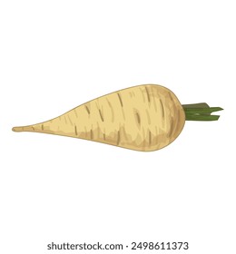 Single parsnip lying horizontally with a green stem, isolated on a white background