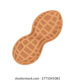 Single Peanut in Shell Vector Illustration Isolated on White