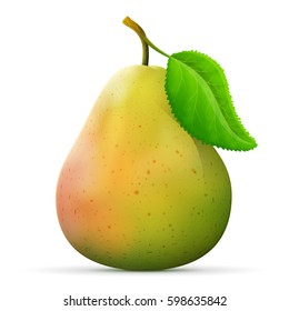 Single pear fruit close up. Raw pear with leaf isolated on white background. Vector illustration