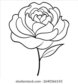 Single peony flower depicted in refined continuous line art drawing style emphasizing natural floral charm for minimalist botanical illustrations and floral artwork