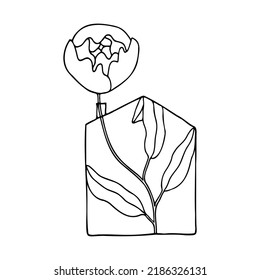 Single peony. Flower in house. Hand drawn linear illustration. Black and white vector